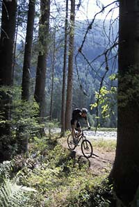 Mountain Biker on holiday in the Chamonix Forest